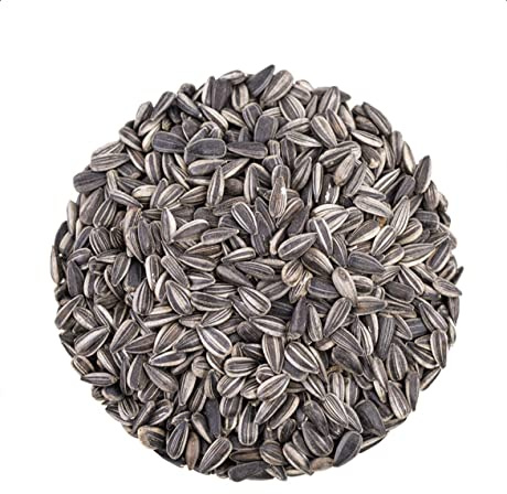 Boill/Sonnenblumenkerne gestreift - 10 kg.Vogelfutter, Wildvögel Futter