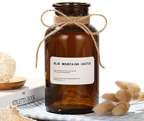 Ericotry 500ML/16.7OZ Decorative Glass Bottles Amber Glass Vase Bud Vases Apothecary Jars Vintage Glass Flower Vases with Creative Rope Design for Home Decor