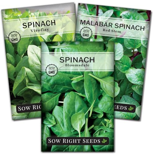 Sow Right Seeds - Spinach Seed Collection for Planting Vegetable Garden
