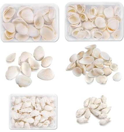 3 Kartons Muscheln zum basteln,deko Muscheln,Muscheln für armbänder Natürliche Jakobsmuscheln Muschel Weiße für DIY Kunsthandwerk, Vase Füllstoffe,Hochzeit Dekoration,Etwa 90 Artikel