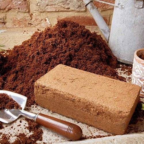 2 x Coir Briquette, Compost Block, Seedlings, Reptile / Snail Bedding Wormcity
