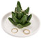 Wisebom Plato Porta Anillos Aloe, Soporte de Anillo para Joyas de Cactus, Platos para Anillos de Cactus para Joyas, Pulseras, Pendientes, Collar