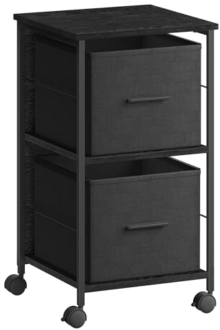 VASAGLE Aktenschrank mit 2 Schubladen, Druckerständer, für A4-, Letter-Format, Hängeregistratur, Aufbewahrungsbox, Homeoffice, ebenholzschwarz-tintenschwarz OFC056B56