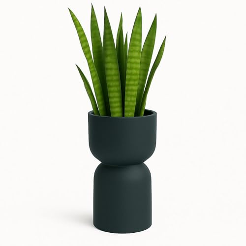 Gartentopf Kelch Sanduhrform Blumentopf für Wohnzimmer und Terrasse verschiedene Größen und Farben, Topf aus Polyethylen (Anthrazit, 70x40)