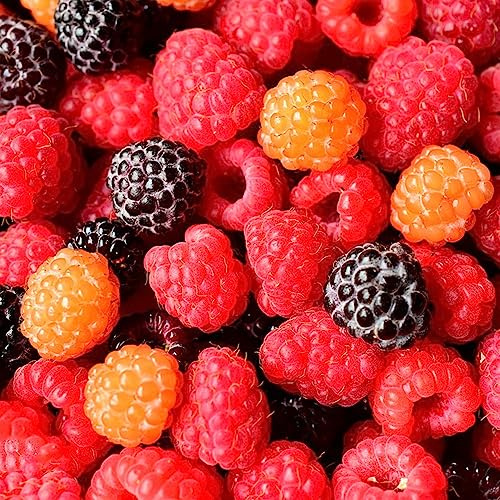 lampone semi da giardino semi biologici selvatici bonsái perenni resistenti 20pcs