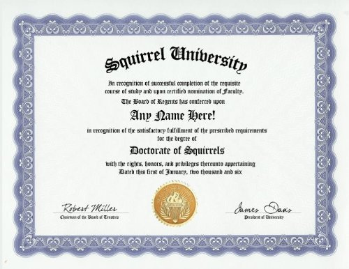 Squirrel Degree: Custom Gag Diploma Doctorate Certificate (Funny Customized Joke Gift - Novelty Item)