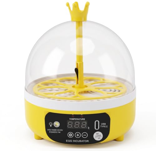 Bewinner Mini-Eierinkubator, Automatische Temperaturregelung, Eierbrutmaschine mit Transparentem Deckel, für Hühner, Enten, Tauben, Eier zu Hause und in der Schule (Manuelles Drehen)