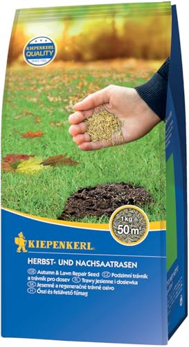 Kiepenkerl Herbst- und Nachsaatrasensamen 651777, 1 kg - Ideal für Herbstnachsaaten, schnelle Keimung, Rasensamen für Ausbesserung und Nachsaat, widerstandsfähig, für 50 m²