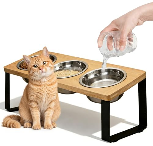 3 Pezzo Ciotole Rialzate, Ciotole per Gatti Rialzate, Mangiatoie Inclinate, Set Di 3 Ciotole Rialzate per Cibo per Gatti Adatto a Gattini E Cuccioli Regalo Migliore Gli Amanti Dei Cani Gattis