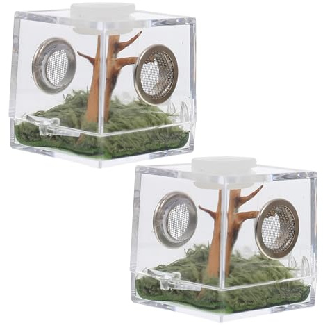 TOYANDONA 2 Ensembles Boîte Habitat Écologique pour Araignées Sauteuses Micro Cage pour Petits Insectes Caisse Élevage Compacte Facile à Nourrir et Entretenir pour Petits Animaux