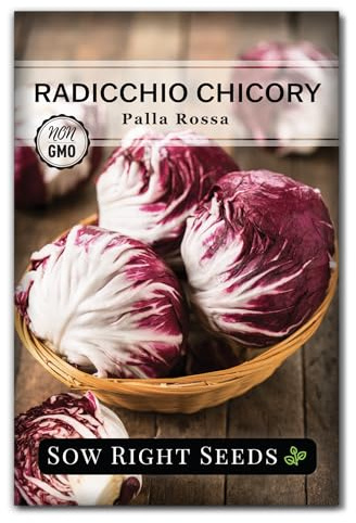 Sow Right Seeds - Palla Rosa Chicory Seeds for Planting - Non-GMO Heirloom Packet with Instructions to Plant an Outdoor Vegetable Garden - Italian Radicchio Seeds - Large Pink & Light Green Heads (1)