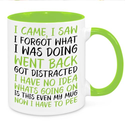 I Came I Saw I Forgot Mug - Funny Novelty Gift Silly Present Mugs for Women Birthday Christmas for Mum Dad Friend Sister for Men Colleague Secret Santa Work Quotes (Green)