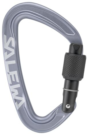 Salewa Ortles-Schraubkarabiner, Grau