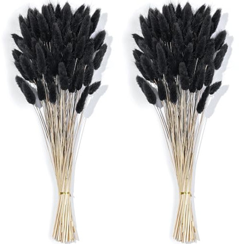 Barlone 120 piezas de hierba de las Pampas pequeñas, hierba de cola de liebre seca, hierba de las pampas, flores secas negras, flores secas pequeñas, hierba de pampas, para decoración de salón, boda