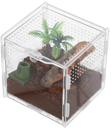 INOOMP Transparentes Acryl Terrarium Und Spinnengehege Ausbruchsichere Kleine Zuchtbox 9x9x9,5cm Kompaktes Gecko Und Springspinnen Lebensraum Geeignet Für Heimgebrauch