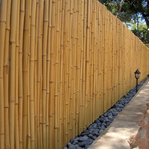 DE-COmmerce heller Bambus Zaun Sichtschutz ATY Nature, oben geschlossen, Rollzaun, Gartenzaun, Sichtschutzzaun für Garten, Terrasse, Balkon (HxB) 90 cm x 180 cm