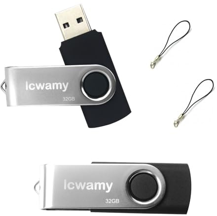 lcwamy 32GB USB Stick 2 Pack USB Flash Drives Pack Thumb Drive 2 Pack USB2.0 32GB Flash Drive Pack Bulk Flash Drives