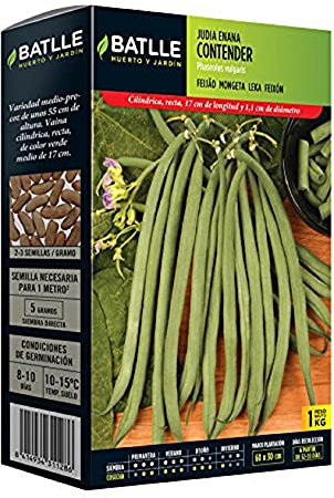 Semi Battle – Fagiolo Enana