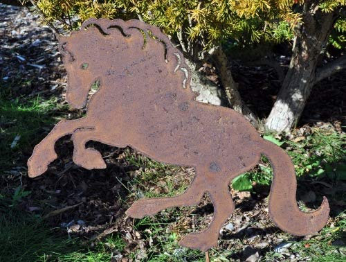 Japan Koi Edelrost Pferd Friese, ca.50cm x 70cm