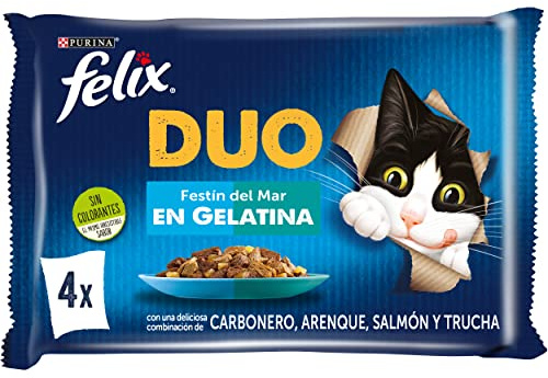 FELIX Duo, våt mat för vuxna katter, gelé, sortiment av koldioxid, sill, lax och öring, 12-pack med 4 kuvert om 85 g (48 kuvert)