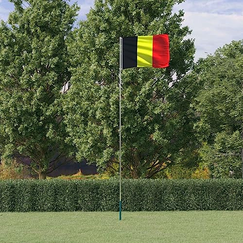 Maison et jardin, décoration, drapeaux et manches à air, drapeau belge et mât 5,55 m en aluminium