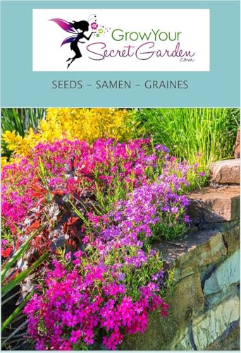 Rocaille, jardin de rocaille 1000 Graines (MIX)- vivace, couvre-sol, rocaille