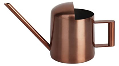 Mini annaffiatoio, piccolo annaffiatoio in acciaio inossidabile con beccuccio lungo per piante d'appartamento, bonsai, bambini, barattolo da giardino in bronzo