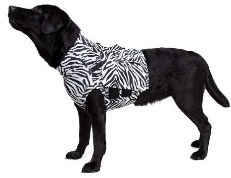 Medical Pet Shirt MPS TOP, Oberkörper Shirt für Hunde, Zebra-Print, L