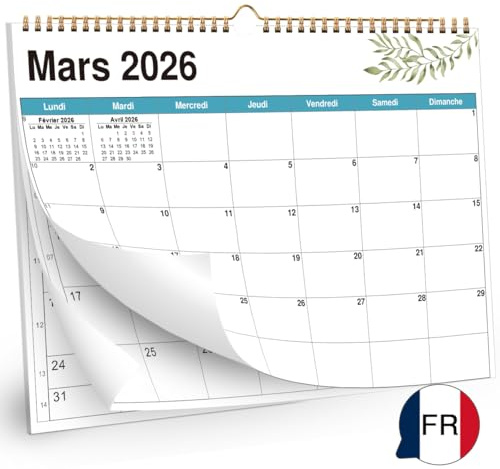 AEYAKA Calendrier mural 2026-21 x 28.7 cm - Format A4-14 mois de novembre 2025 à décembre 2026 - Mensuel à suspendre avec aperçu des vacances - Français