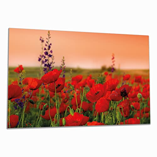 Wallario Herdabdeckplatte/Spritzschutz aus Glas, 1-teilig, 80x52cm mit 8 mm hohen Füßen, für Ceran- und Induktionsherde, Mohnblumen auf dem Feld