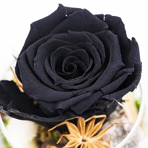 Ewige Rose im Glas - handgefertigt - Bunte Infinity Rosen Blumen Deko Geschenke, konservierte Rosen Rosenkopf im Glas mit Geschenkbox 3 Jahre haltbar (Schwarz)