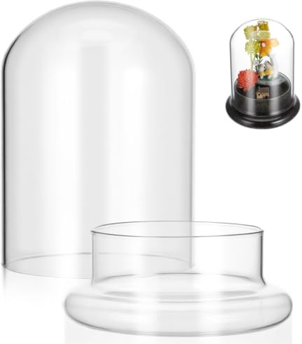 Kisangel Mini Pflanzen Glasterrarium, Klares Glasglocke mit Teller & Glasboden, Glaskuppel für Sukkulenten & Moos, Modern Flaschen Terrarium Tischdeko, Geschenk für Büro & Wohnzimmer