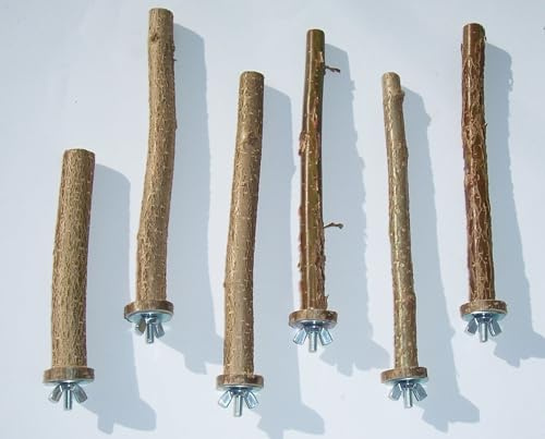 Sitzstangen 6 Stück für Wellensittiche, Kanarienvögel, Vögel usw. 6-teilig für Vogelkäfig Haselnuss ungespritzt aus ländlicher Region im Allgäu