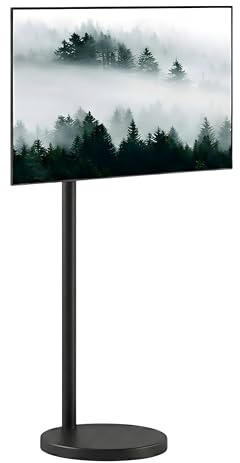 Spacetronik Mobiler TV Ständer Rollbar für 17–43 Zoll Monitor & Fernseher