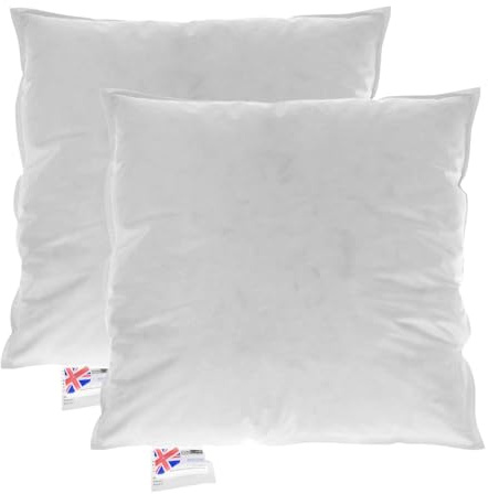 HOMESCAPES Coussin de garnissage en Duvet et Plumes d’oie et Coton, Coussin à recouvrir 55x55 cm – Lot de 2