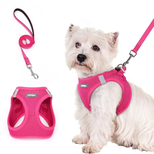 rabbitgoo Dog Harness Small Sized and Leash Set, Step in Soft Light Puppy Vest, Breathable Mesh Pet Harness, Reflective for Safe Easy Walking, Rose Red S