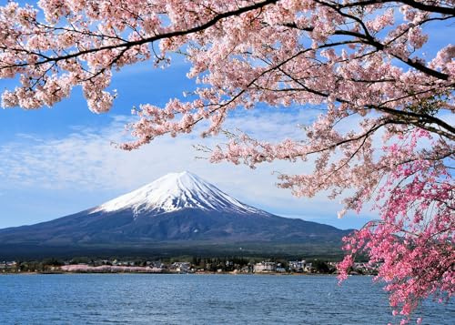 Puzzle 1000 Teile Erwachsene Jigsaw Puzzle 1000 Teile Landschaft Fujiyama für Erwachsene Puzzles 1000-teiliges Landschaft Berge Puzzles 1000-teiliges Fujiyama für Jugend und Puzzle-Liebhaber