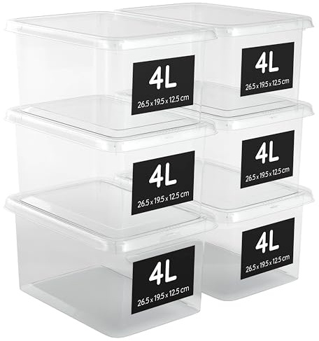 AHIOVA Cajas Almacenaje Plastico Pequeñas 4L con Tapa Set 6 Organizadoras Apilables 100% Transparentes Click Presión 26,5x19,5x12,5cm Baño Cajones Oficina BPA Free Fabricadas Europa