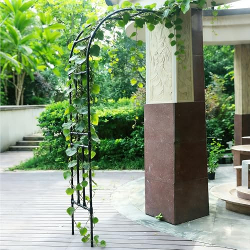 Dexinhdh Arche De Jardin Latérale, Treillage Métallique pour Plantes Grimpantes, Conception Modulaire, Grande Arche Décorative pour Jardin, Idéale pour Les Fleurs, Les Légumes(Black,240cm)
