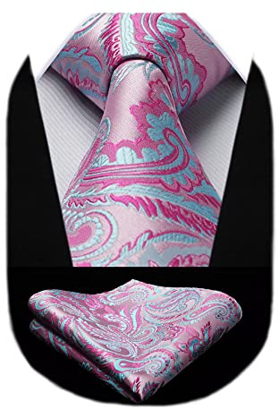 HISDERN Herren Krawatte Taschentuch Blume Paisley Hochzeit Krawatte & Einstecktuch Set