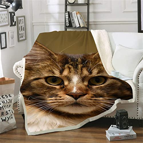 lixiaochao Fleecedecke Katzendecke für Couch Weiche, Flauschige und Bequeme Fleecedecke (150x200cm) 3D-Druckdecke
