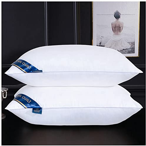 MISSMAO Oreiller 48x74 Lot de 2 pour Le Lit Coussins pour Dormir et Décoratifs Antiallergiques Anti-Acariens et Rafraichissant Rectangulaire Oreillers de Lit,Blanc,48x74cm(500g)