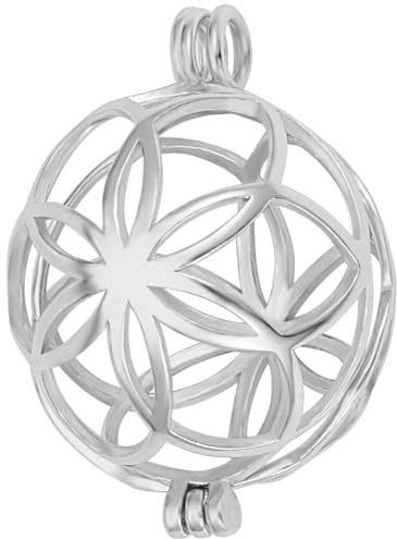 Beebeecraft 1 boîte de 1 Breloques Cage en Argent Sterling Platine Perle Vierge Cage Boule Creuse Pendentif Breloques Réglage pour Bijoux Bricolage Artisanat Collier Bracelet Fournitures