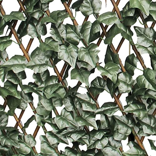 VERDELOOK Sempreverde® ausziehbares Rankgitter aus Weide, 1 x 2 m, Efeublätter, Gartendekoration