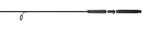 SouthBend Black Beauty 9' Ultralight BBND-902ULSP Noodle Rod EVA Handle