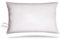 BEFA NATUR Almohada de Plumas 50x70 cm | 100% Plumas | 820g Peso de Relleno | Apta para alérgicos (NOMITE) | Certificación (DOWNPASS) | Oeko-Tex Clase 1