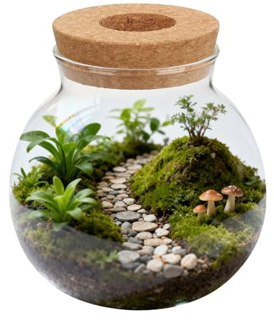 MAGICLULU Vase Hydroponique en Verre Sphérique Petit Format Bouchon, Récipient pour Plantation d'eau, Jardinière Hydroponique Transparente pour Décoration Intérieure et Culture de Plantes