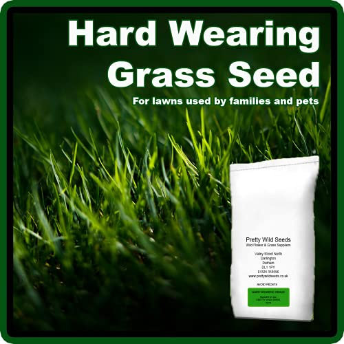 2 Kg Grass Seed Pro Hard-Wearing Tough Back Lawn Grass Seed DEFRA Certified Seeds Kids and Pets (2kg)