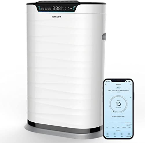Purificador de aire QXPure9 CADR 600 m³/h – hasta 100 m² – Filtro HEPA13 para polen, polvo fino, humo, contaminantes y tecnología QXAir+ – WIFI/App/Alexa, supersilencioso