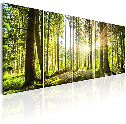 B&D XXL - Leinwandbild Landschaften Natur, 100x40 cm, 5-teilig, Wohnzimmer | Hochwertige Leinwand, sofort aufhängbar, ideal fürs Wohn- oder Schlafzimmer, wasserfest und lichtecht, langlebig, stilvoll